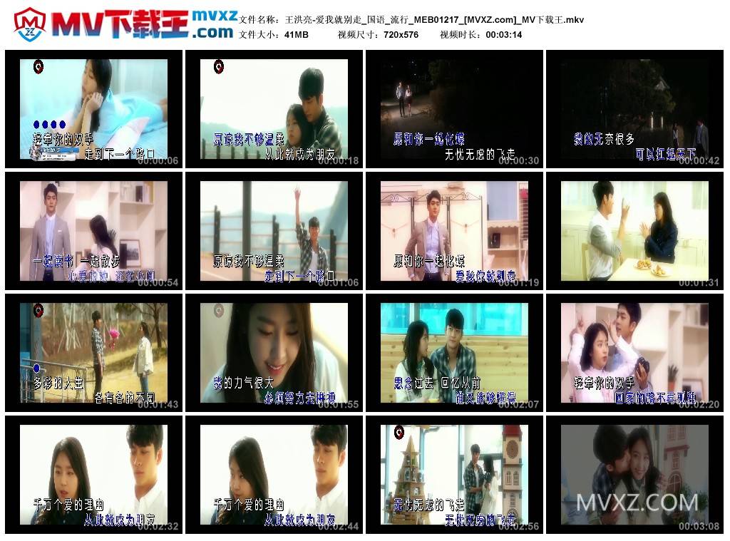 王洪亮-爱我就别走_国语_流行_MEB01217